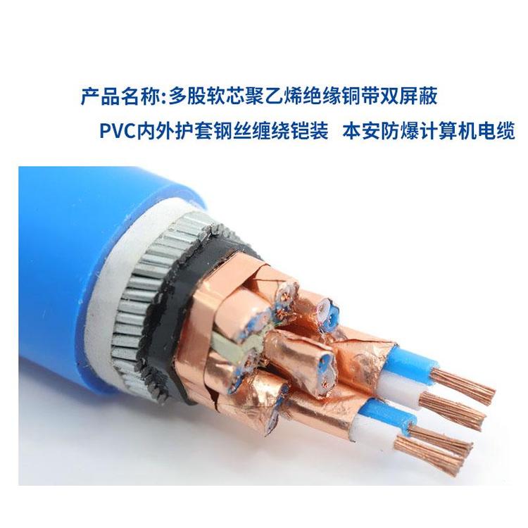 本安防爆钢丝缠绕铠装计算机电缆2.jpg